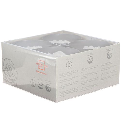 Floristik24 Véritables têtes de roses Infinity Roses Blanc Premium Ø8,5 cm 4 pcs