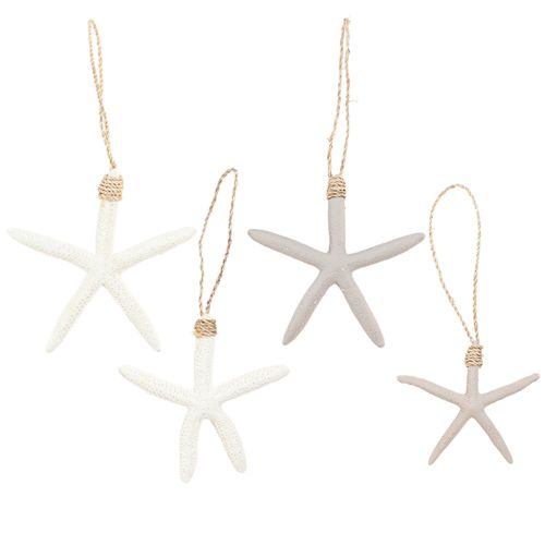 Floristik24 Véritable décoration étoile de mer cintre maritime gris blanc 10-14cm 4pcs