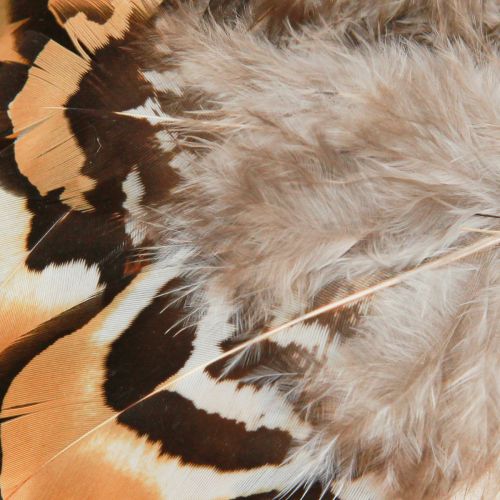 Article Plumes d'oiseaux véritables plumes décoratives rayées 3-4cm 60 pcs