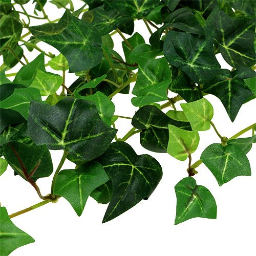Floristik24 Vrille de lierre vert 70cm