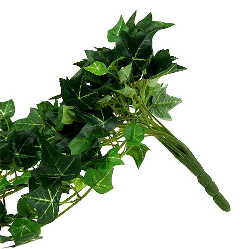 Floristik24 Vrille de lierre vert 70cm