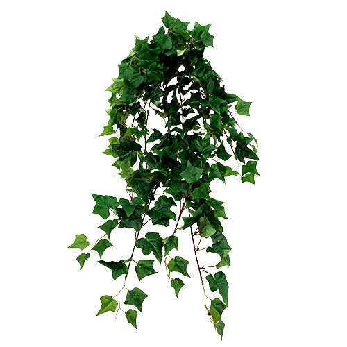 Floristik24 Lierre artificiel vert 85cm