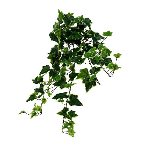 Cintre Ivy blanc-vert 70cm