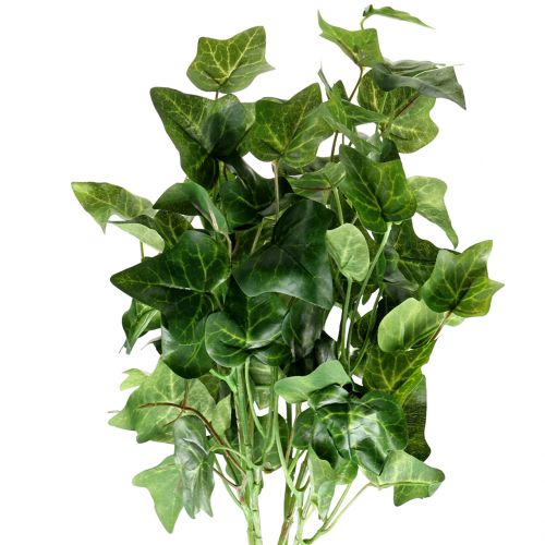 Floristik24 Lierre artificiel vert 50cm Plante artificielle comme la vraie !