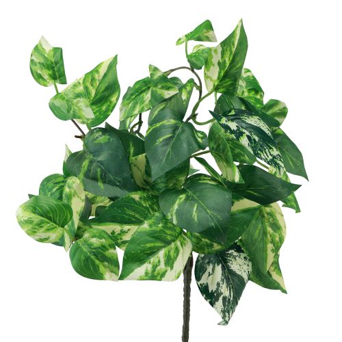 Floristik24 Plante de lierre Pothos lierre artificiel vrille dorée 50cm