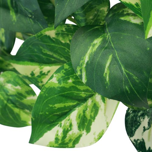 Floristik24 Plante de lierre Pothos lierre artificiel vrille dorée 50cm