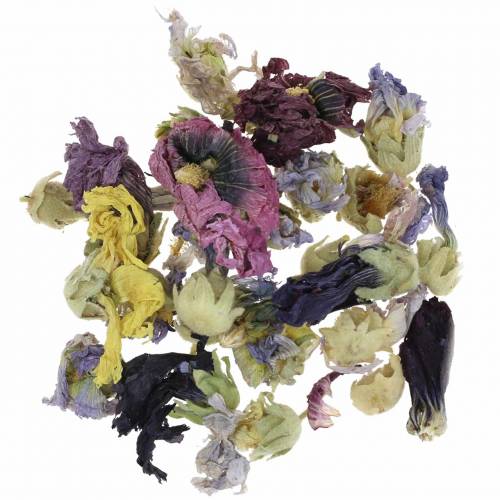 Ensemble de bricolage de décoration sèche vraie guimauve naturelle 300g pot-pourri de fleur