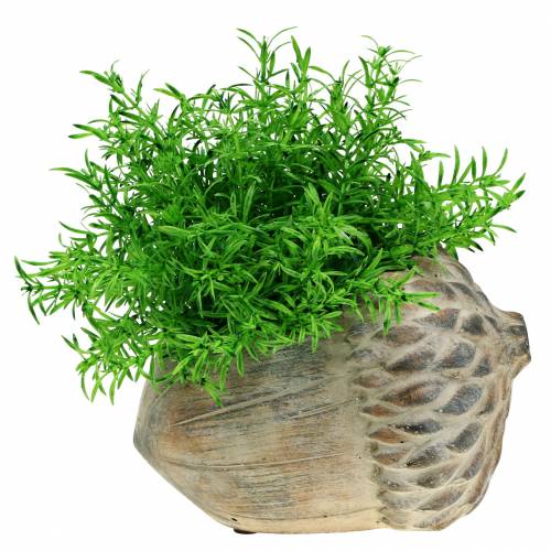 Floristik24 Jardinière béton gland 21,5cm × 14cm H9,5cm