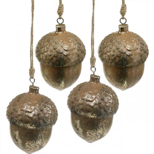 Floristik24 Pendentif décoratif gland, fruits d&#39;automne, décorations d&#39;arbre de Noël avec décor doré H8cm Ø6cm 4pcs