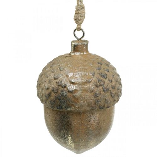 Floristik24 Pendentif décoratif gland, fruits d&#39;automne, décorations d&#39;arbre de Noël avec décor doré H8cm Ø6cm 4pcs