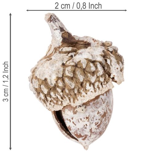 Epis naturels blanchis pour décoration 1-3 cm 300g | Floristik24.fr