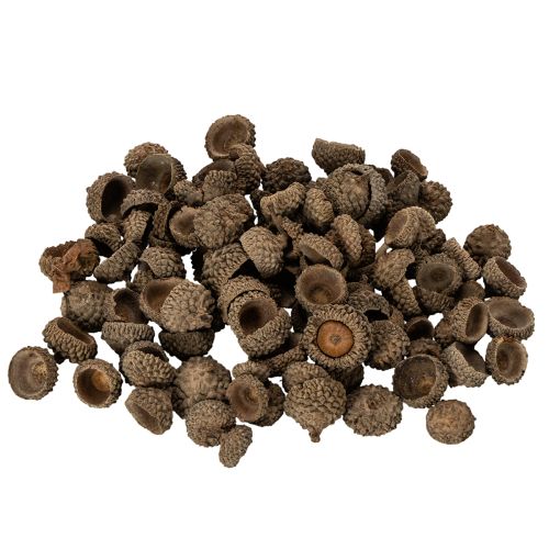 Article Ecailles de glands naturelles 2 cm 300 g décoration automne et Noël