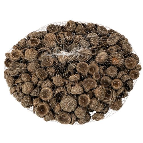 Ecailles de glands naturelles 2 cm 300 g décoration automne et Noël | Floristik24.fr
