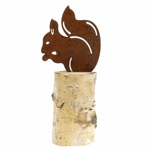 Floristik24 Patine écureuil sur tronc H22cm