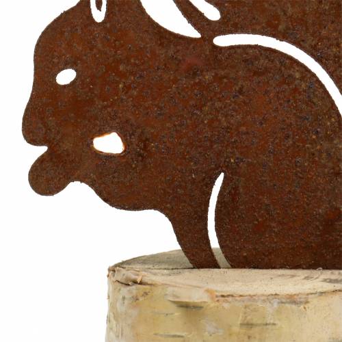 Floristik24 Patine écureuil sur tronc H22cm