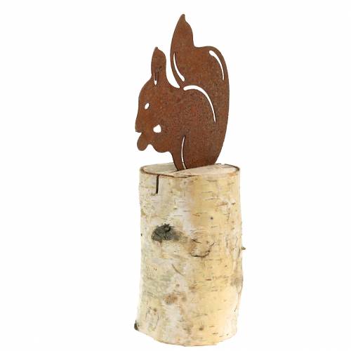 Floristik24 Patine écureuil sur tronc H22cm