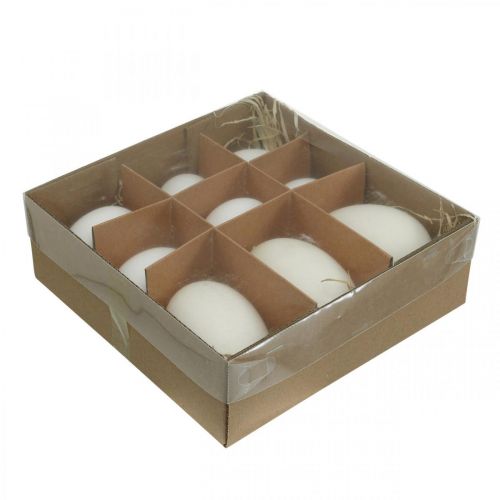 Article Mélange d&#39;œufs de cygne et d&#39;œufs de poule blancs soufflés 5,5/8 cm 9 pièces