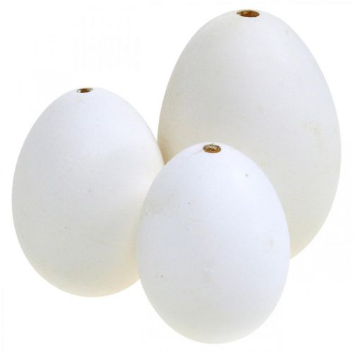 Floristik24 Mélange d&#39;œufs de cygne et d&#39;œufs de poule blancs soufflés 5,5/8 cm 9 pièces