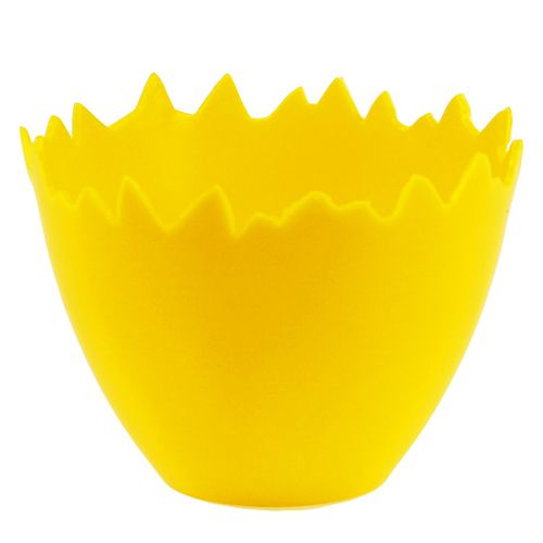 Floristik24 Coquetier Ø17cm 20pcs Jaune