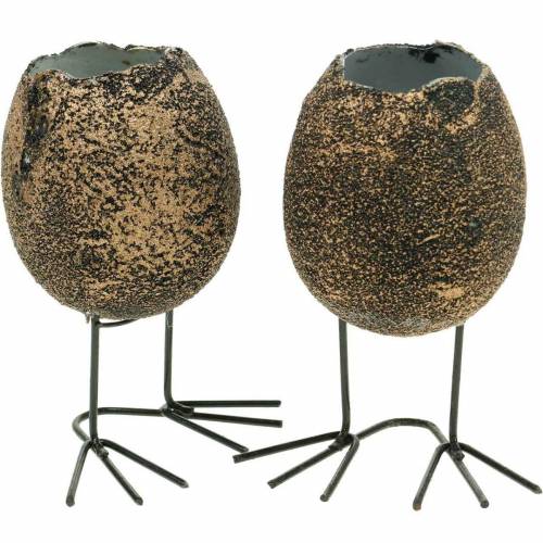 Floristik24 Oeuf avec pattes jardinière coquille d&#39;oeuf brun doré 13cm 4pcs