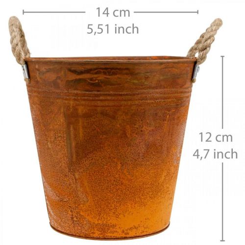 Floristik24 Cache-pot, décoration automne, récipient en métal patiné Ø14cm H12cm