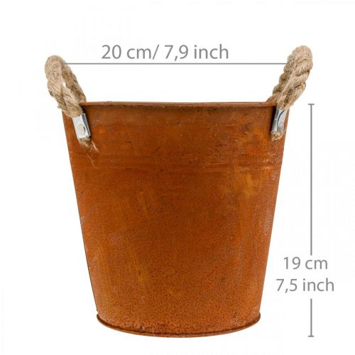 Floristik24 Pot décoratif avec anses, décoration automne, bol en métal patiné Ø20cm H19cm