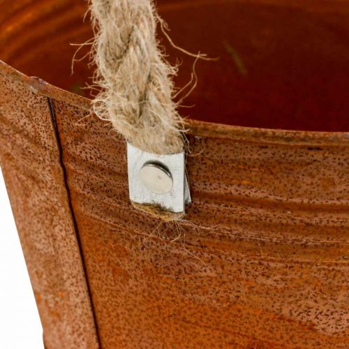 Floristik24 Jardinière avec poignées, bol à plantes, récipient en métal avec décoration rouille Ø25cm H24cm