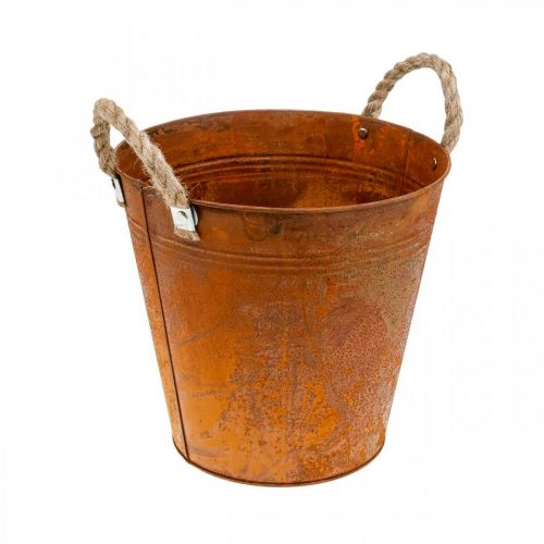 Floristik24 Jardinière avec poignées, bol à plantes, récipient en métal avec décoration rouille Ø25cm H24cm