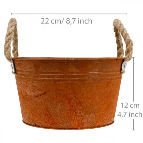 Floristik24 Pot métal anses corde, coupe plante, automne, patine Ø22cm H12cm