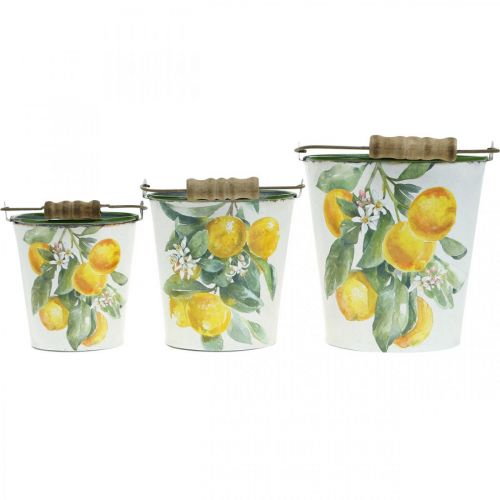 Floristik24 Seau décoratif citrons Jardinière méditerranéenne Ø13,5/11/9cm H14/11,5/cm lot de 3