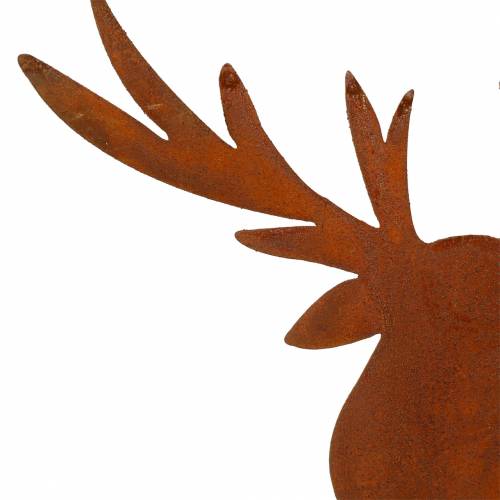 Floristik24 Élan patiné à coller H58cm