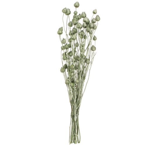 Article Chardons fraises vert métallisé Ø1cm–2cm L55cm 100g