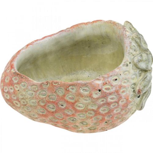 Article Fraise décorative, cache-pot, décoration en béton à planter L17cm