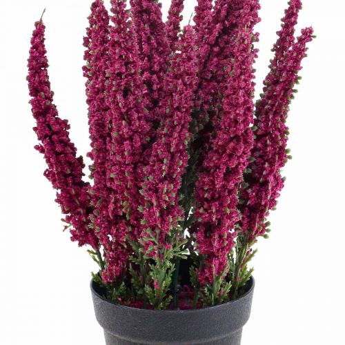 Floristik24 Erika violet bruyère genêt bruyère plante artificielle H26cm