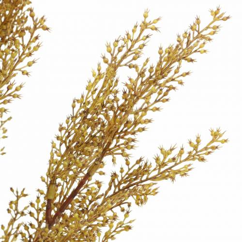 Floristik24 Branche de bruyère déco, jaune chiné, marron H50cm