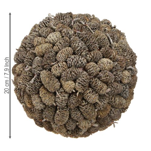 Article Boule décorative en cône d&#39;aulne à suspendre, blanchie à la chaux, 20 cm