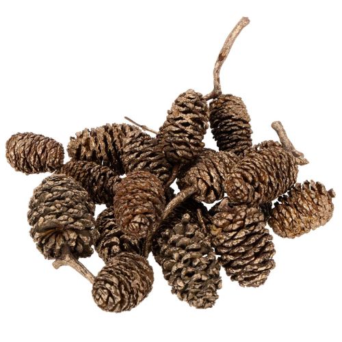 Pommes d'aulne naturelles dorées 3 cm 300 g pour décoration et bricolage