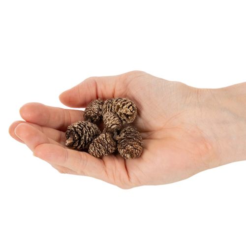 Pommes d'aulne naturelles dorées 3 cm 300 g pour décoration et bricolage | Floristik24.fr