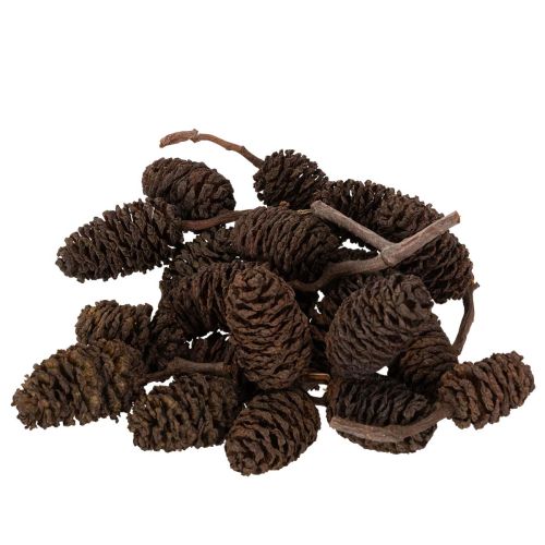 Pommes de aulne naturelles non traitées 3 cm 300 g marron naturel pour décoration