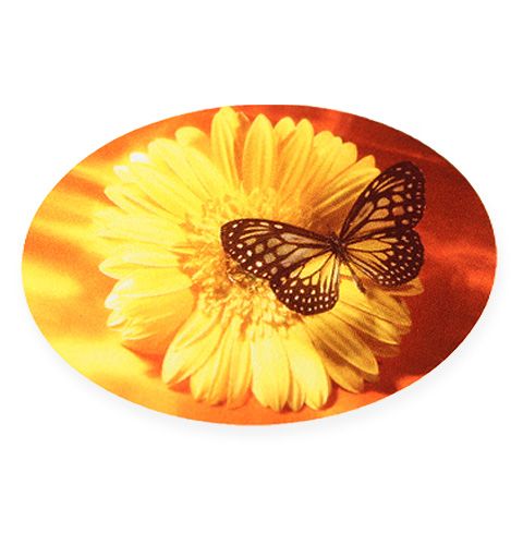 Floristik24 Etiquettes papillon 250p