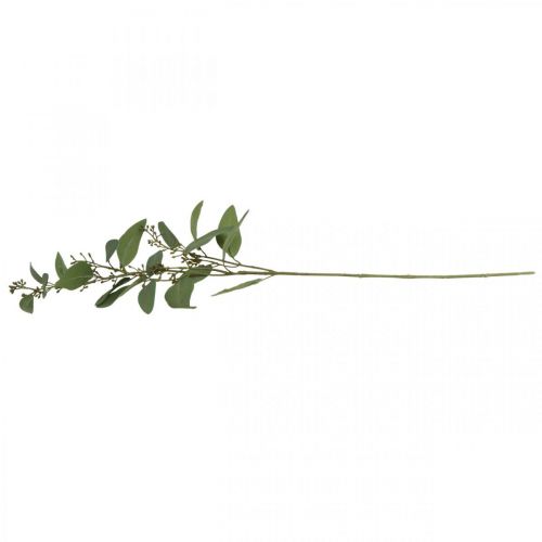 Floristik24 Branche d'eucalyptus artificielle avec bourgeons déco branche 60cm