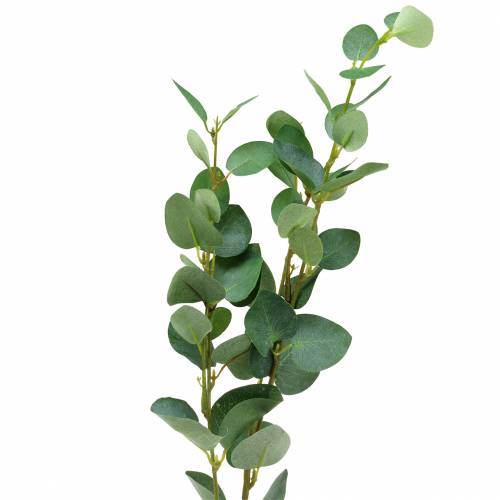 Floristik24 Branche d&#39;eucalyptus 76cm