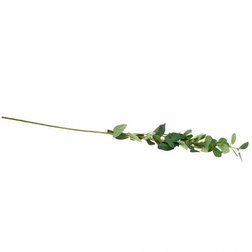 Floristik24 Branche d&#39;eucalyptus 76cm