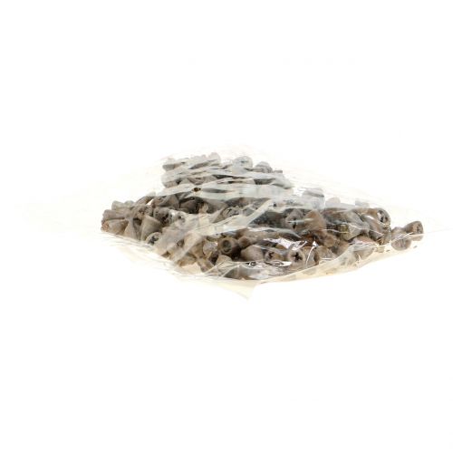 Floristik24 Fruits d&#39;eucalyptus cirés gris-brun 250g