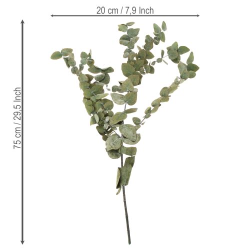 Article Branches et feuilles décoratives d'eucalyptus séchées et stabilisées, rondes, 150 g