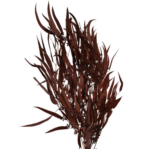 Article Branches d&#39;eucalyptus préservées Rouge, marron 56 cm 135 g