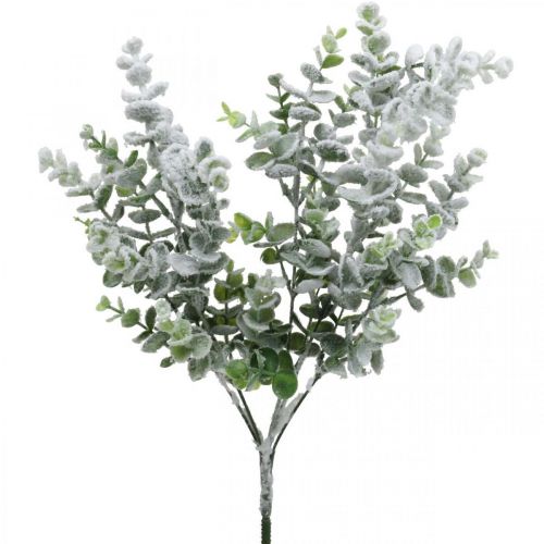 Floristik24 Branche artificielle d&#39;eucalyptus enneigée déco branche eucalyptus Noël 48cm