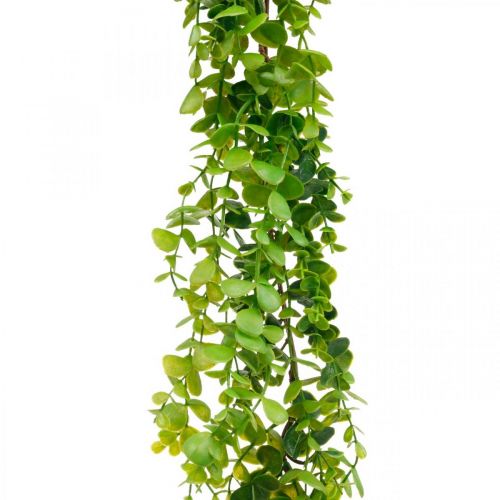 Floristik24 Décoration de mariage guirlande d&#39;eucalyptus vert artificiel 122cm