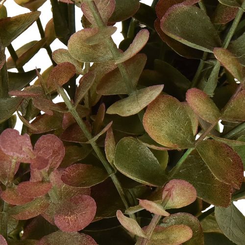 Article Couronne d&#39;eucalyptus artificielle décoration d&#39;automne eucalyptus Ø36cm