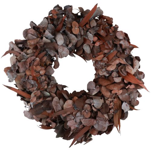 Floristik24 Couronne d&#39;eucalyptus Couronne d&#39;eucalyptus naturelle rouge stabilisé Ø33cm